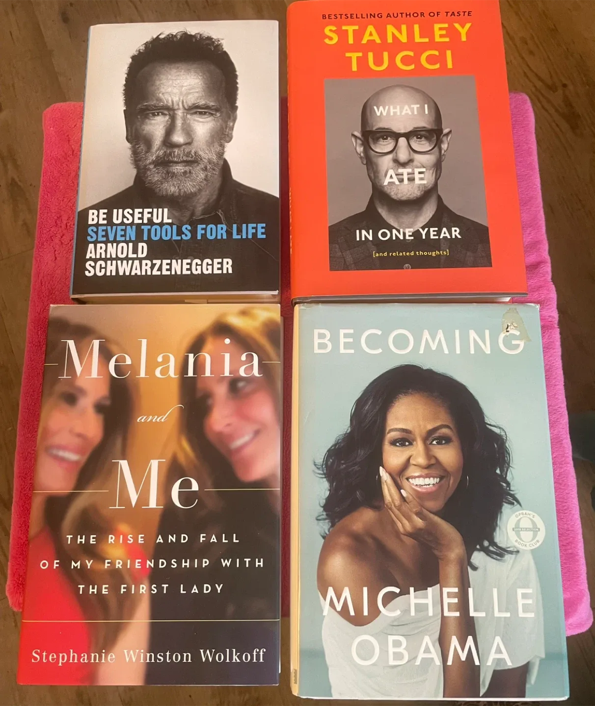 Assorted Biography Books: Schwarzenegger, Tucci, Obama, Wolkoff thumbnail