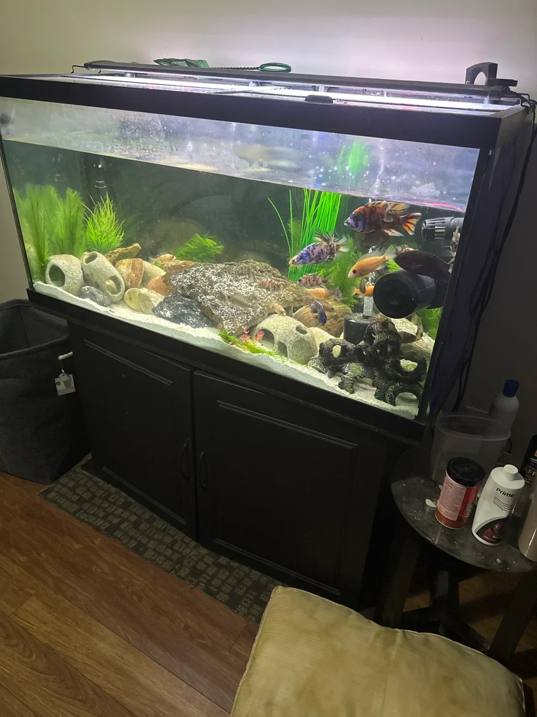 Large Fish Tank with Stand & Accessories image indicator(5)