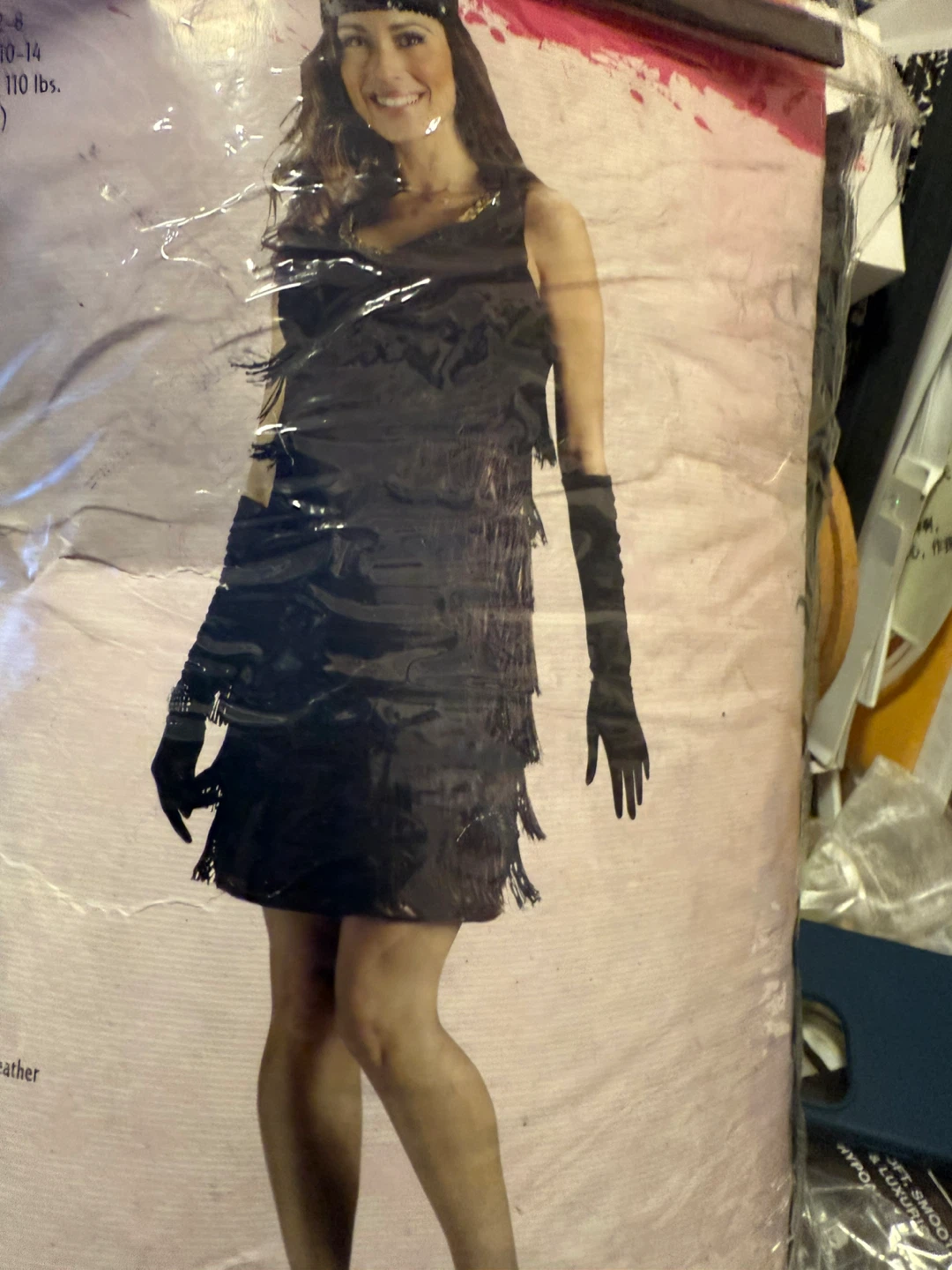 Halloween Flapper Dress Costume - Black