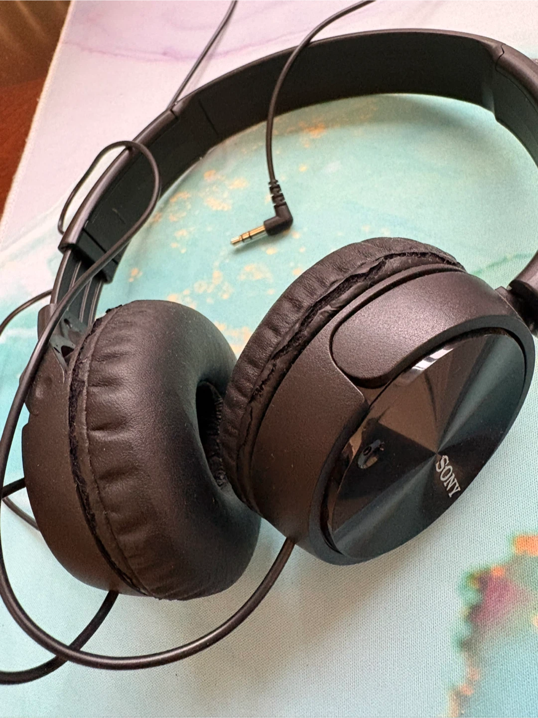 Sony Black Headphones