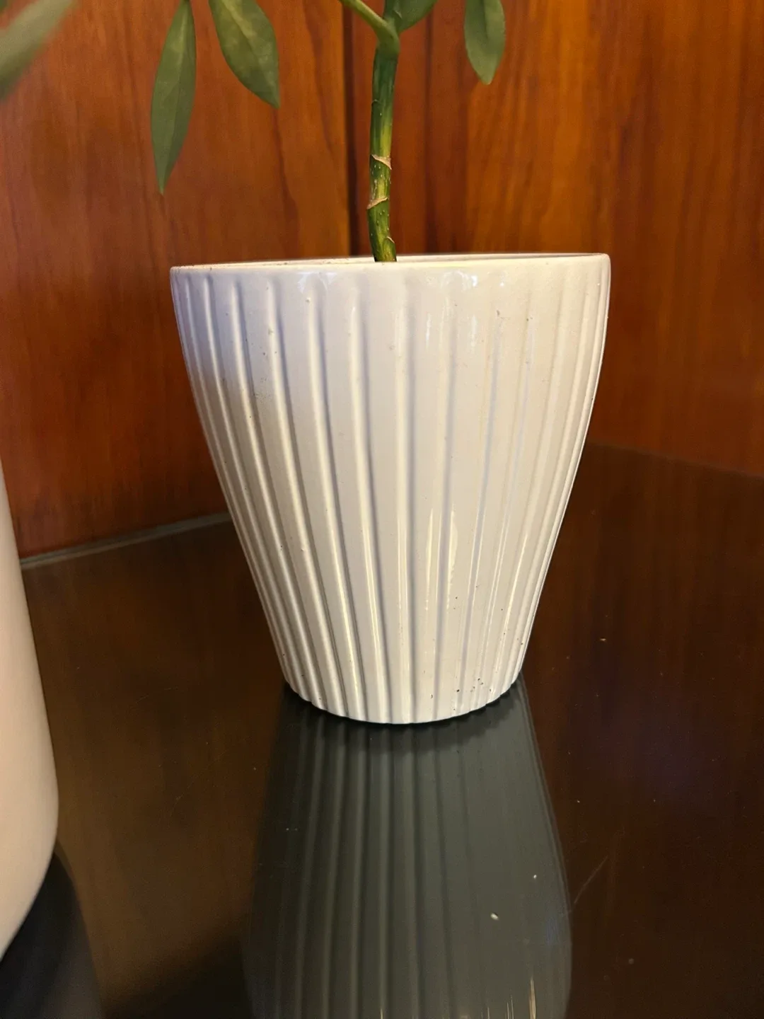 $4 each multiple Plant pots 5/6 inch tall white  gardening image indicator(6)