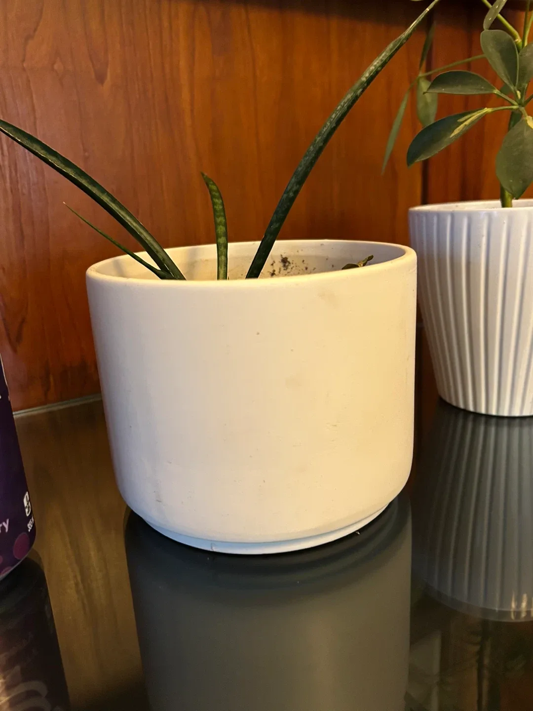 $4 each multiple Plant pots 5/6 inch tall white  gardening image indicator(5)