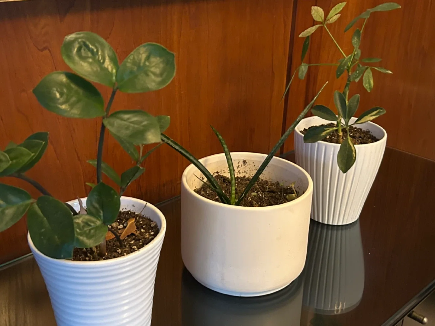 $4 each multiple Plant pots 5/6 inch tall white  gardening image indicator(10)