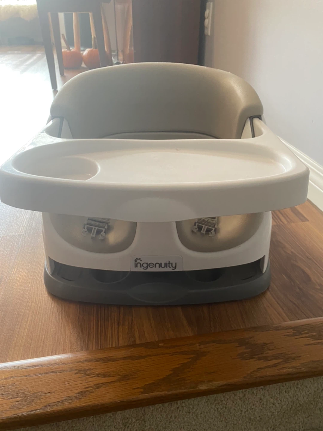 Ingenuity Baby Base 2-in-1 Seat - photo 3