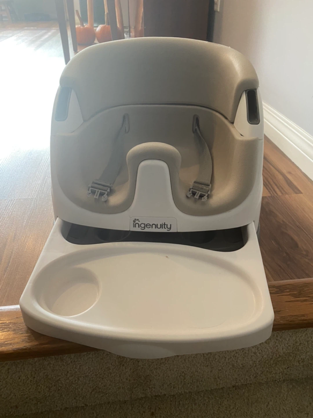 Ingenuity Baby Base 2-in-1 Seat - photo 2