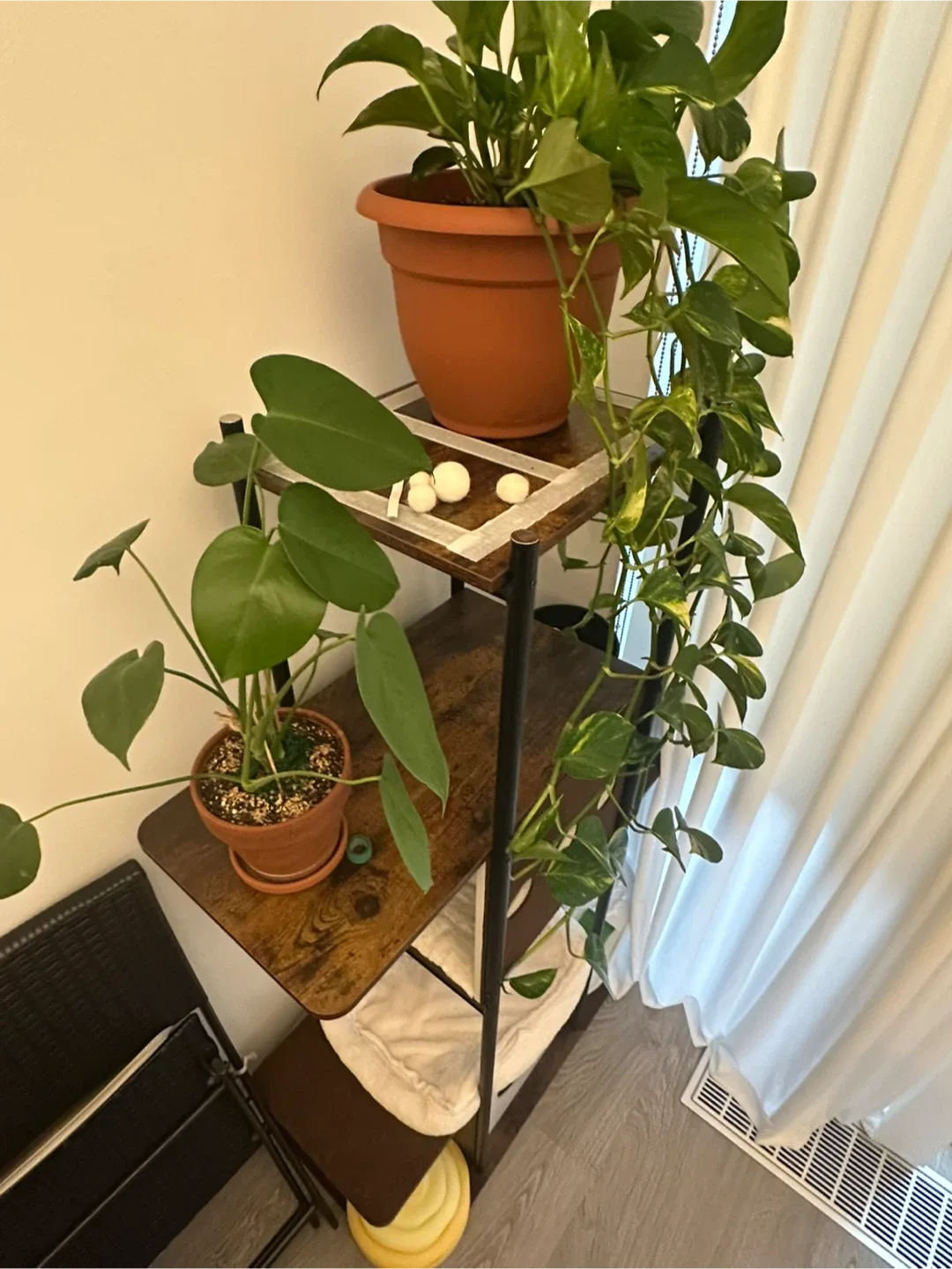 really sturdy cat tree 🐈🌳 image indicator(3)