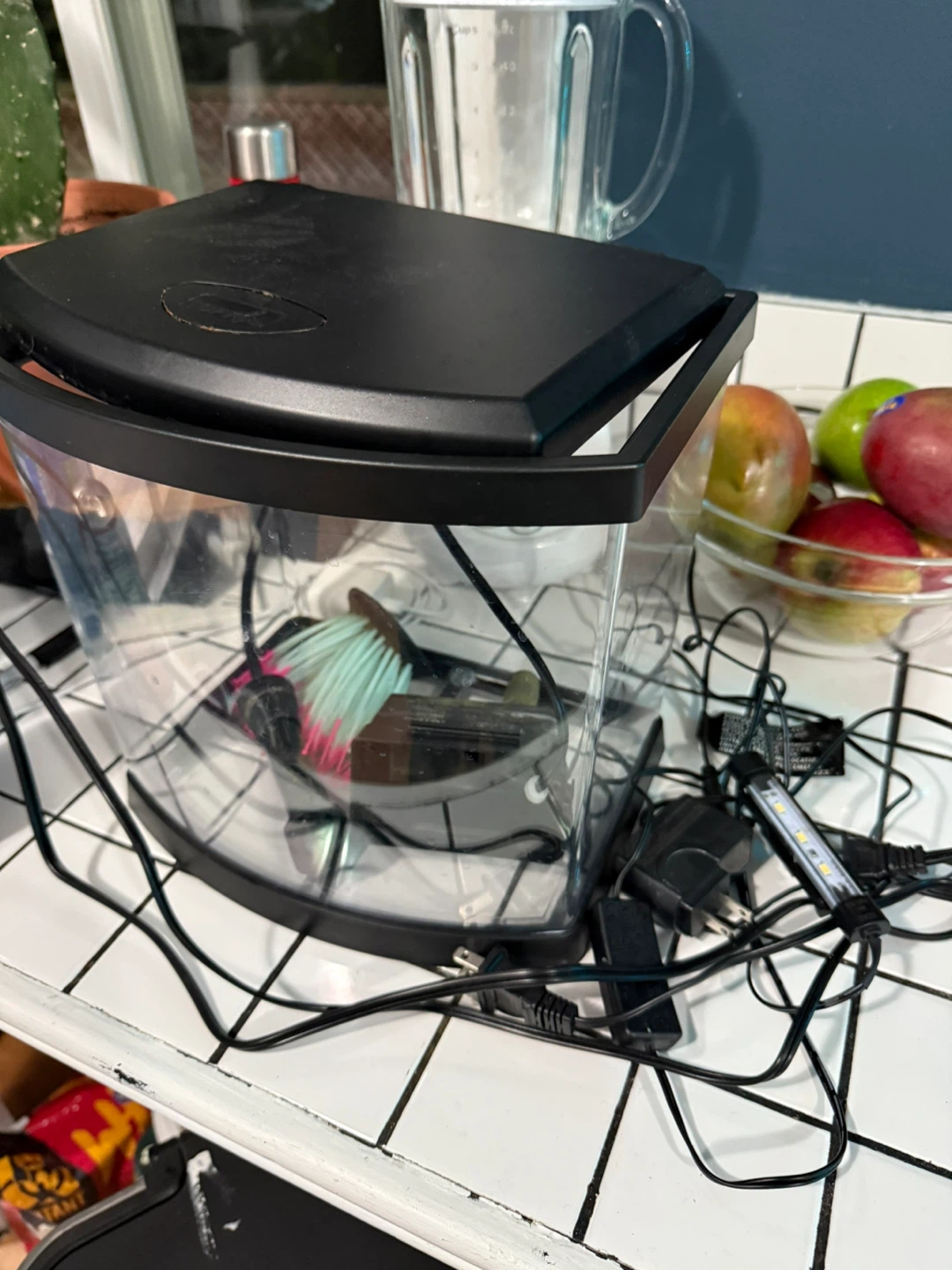 Aquarium Fish Tank Kit