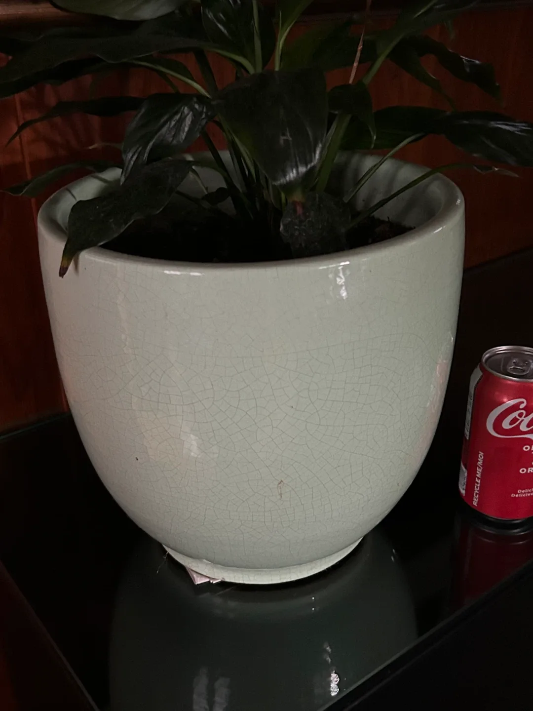 big 10 inch high / 10 inch wide celadon green crackle planter image indicator(3)