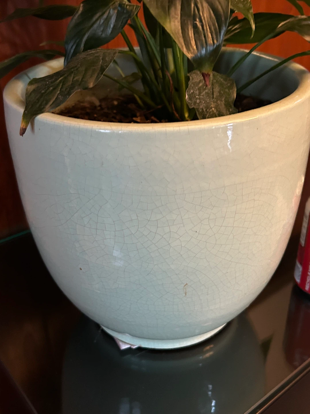 big 10 inch high  POT 10 inch wide celadon green crackle planter - photo 3
