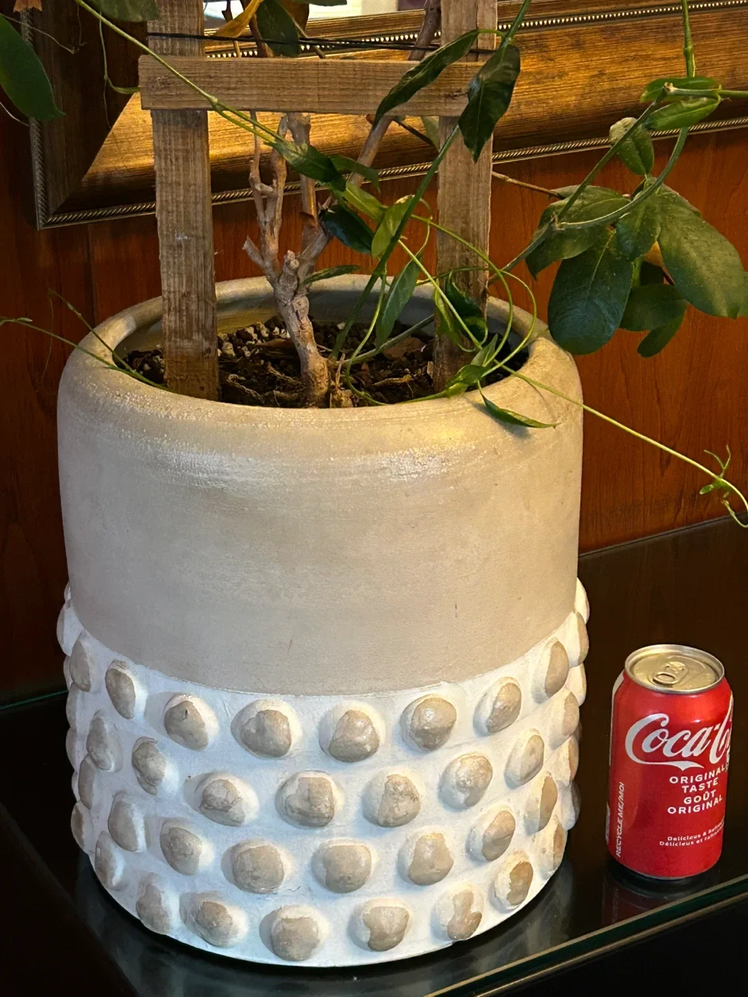 big 10 inch high / 10 inch wide celadon green crackle planter image indicator(7)