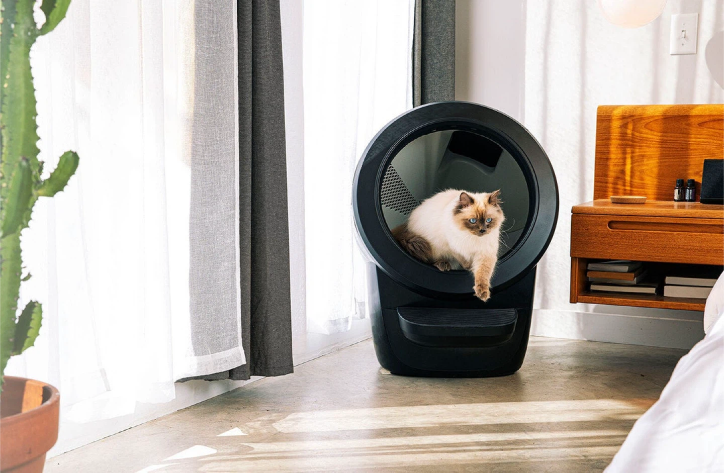 Litter-Robot 4 Self-Cleaning Litter Box - photo 2