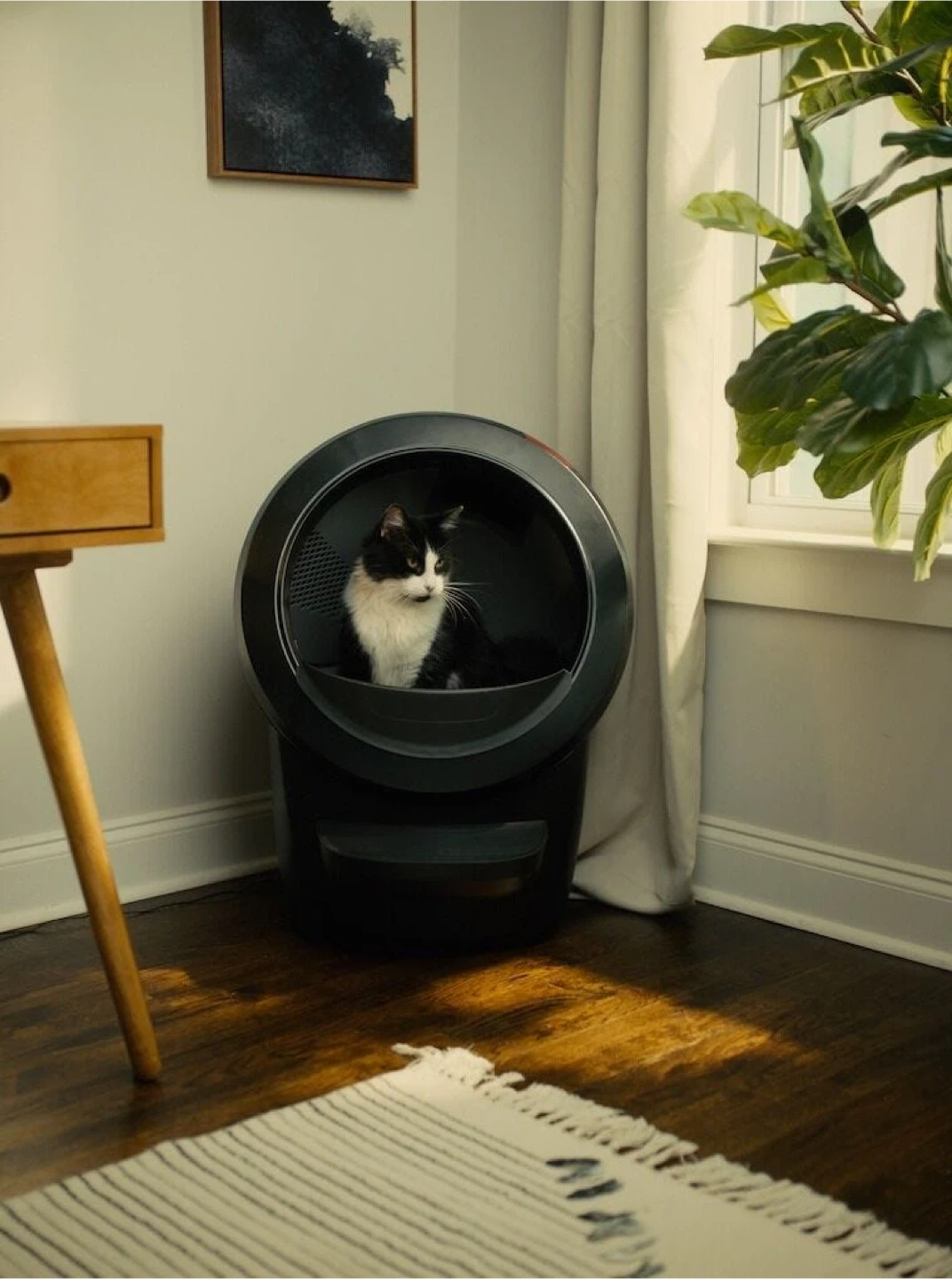 Litter-Robot 4 Self-Cleaning Litter Box