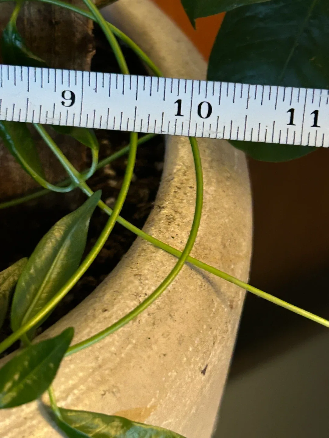 $20 MCM Brutalist big planter plant pot 13 in x 10 in concrete image indicator(4)