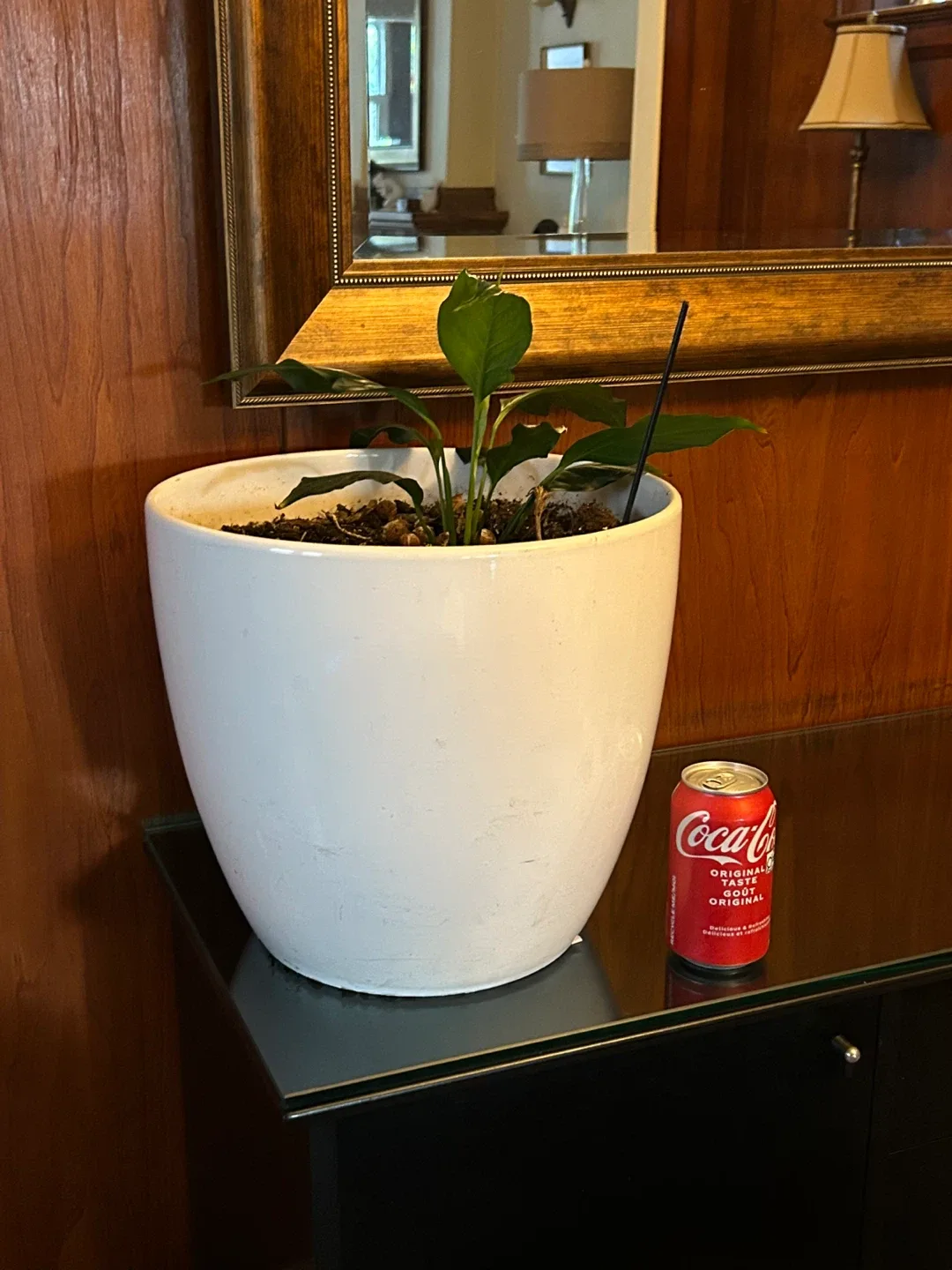 $20 MCM Brutalist big planter plant pot 13 in x 10 in concrete image indicator(9)