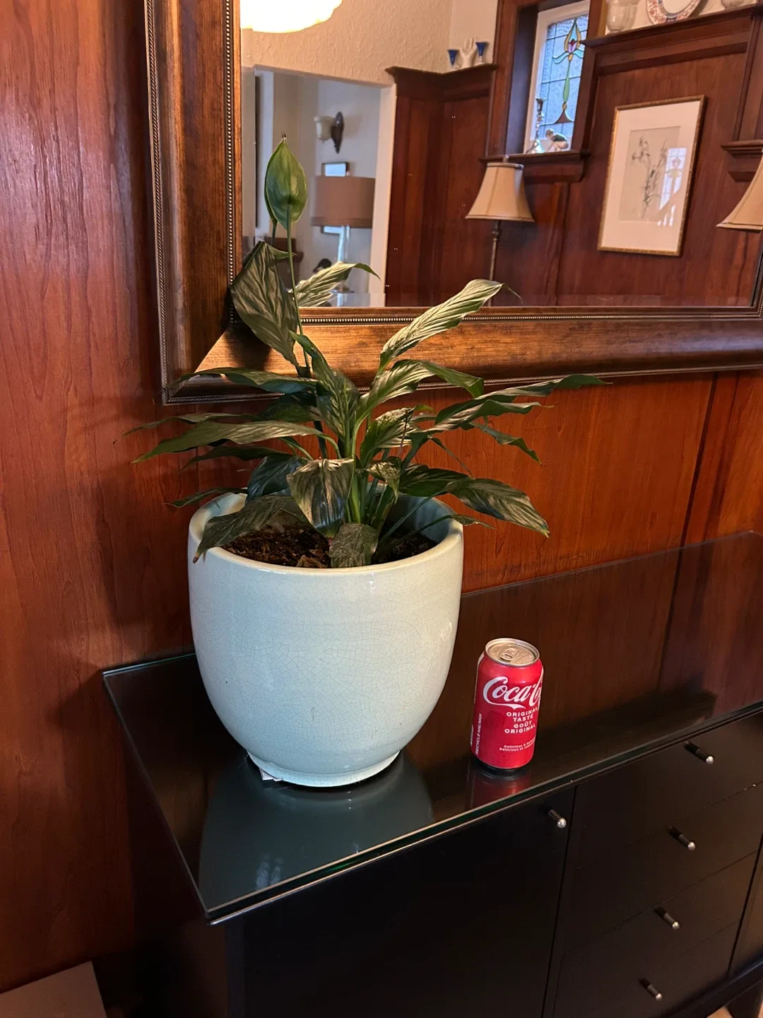 $20 MCM Brutalist big planter plant pot 13 in x 10 in concrete image indicator(7)