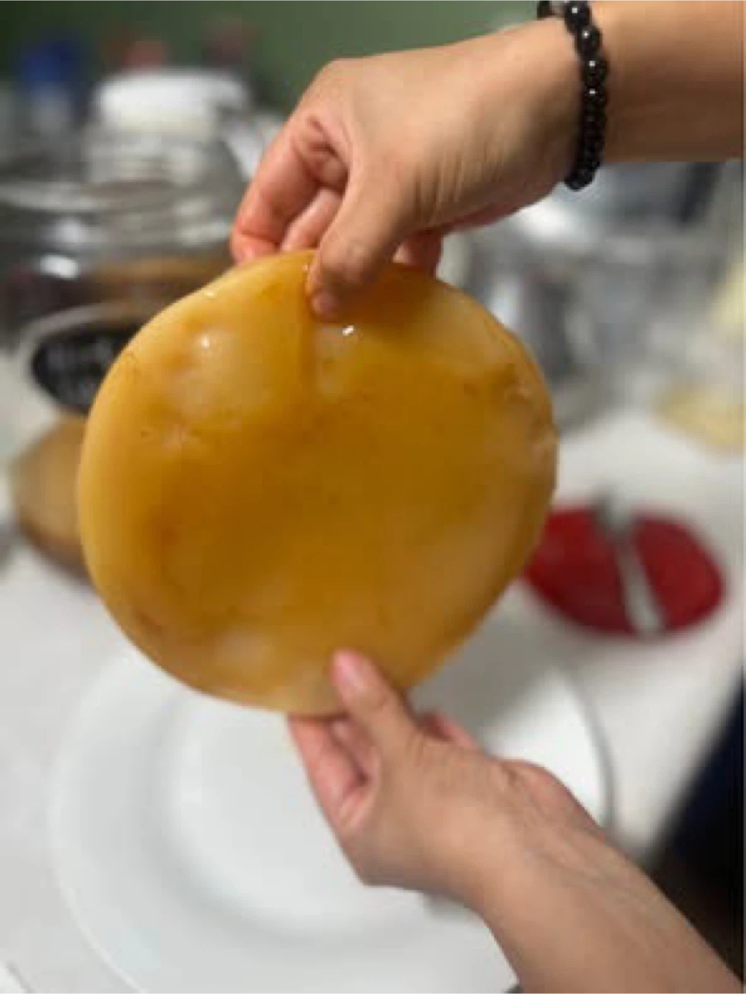 SCOBY for Homemade Kombucha