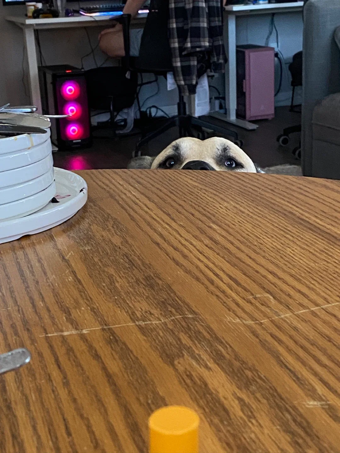 Oak Table and chair set image indicator(3)