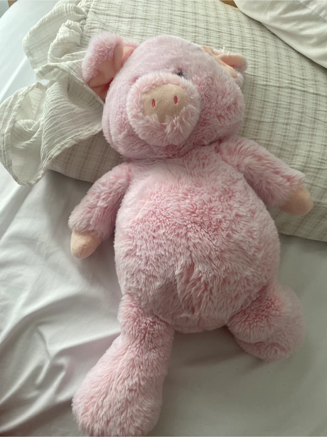 Pink Pig Plush Toy