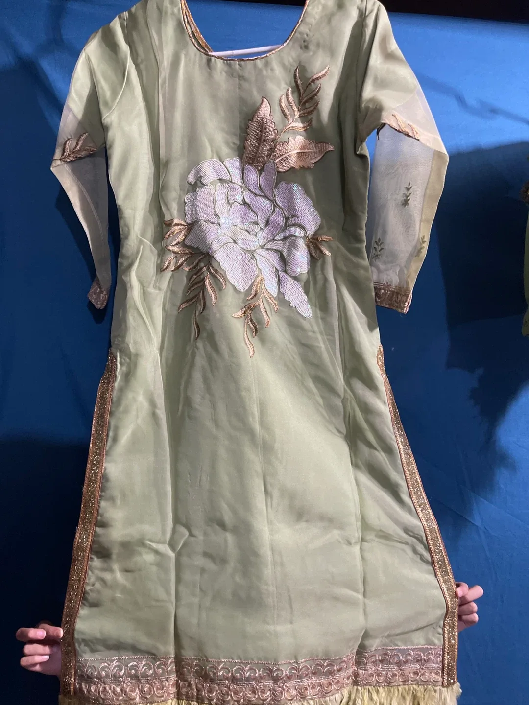 Green Embroidered Salwar Kameez image indicator(6)