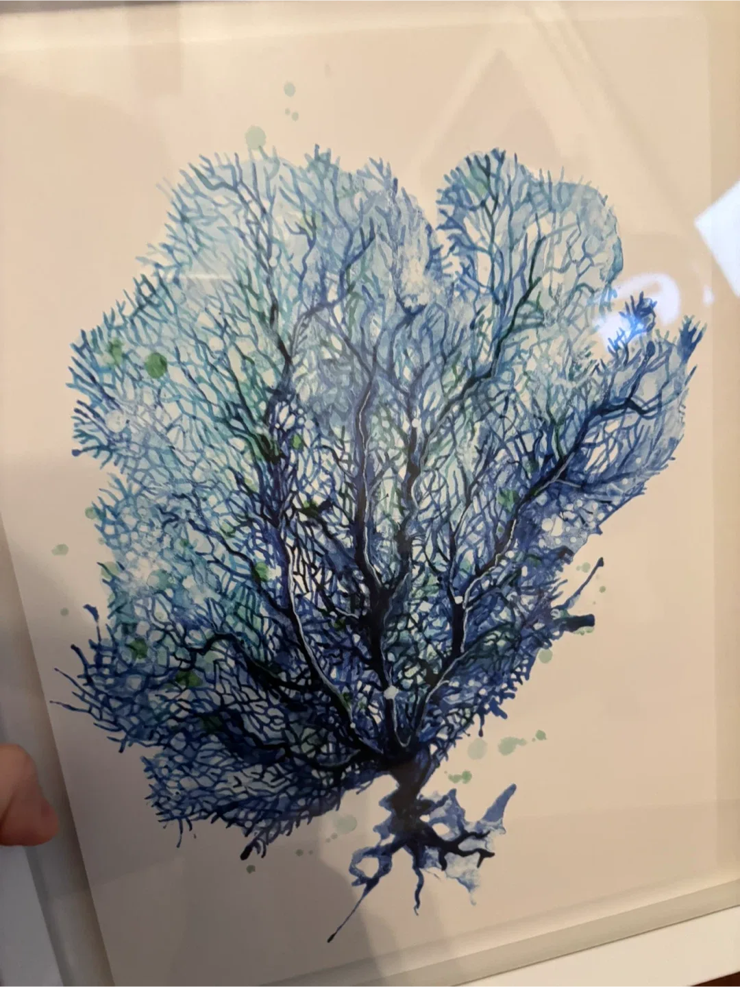 Set of 2 Framed Coral Prints image indicator(3)