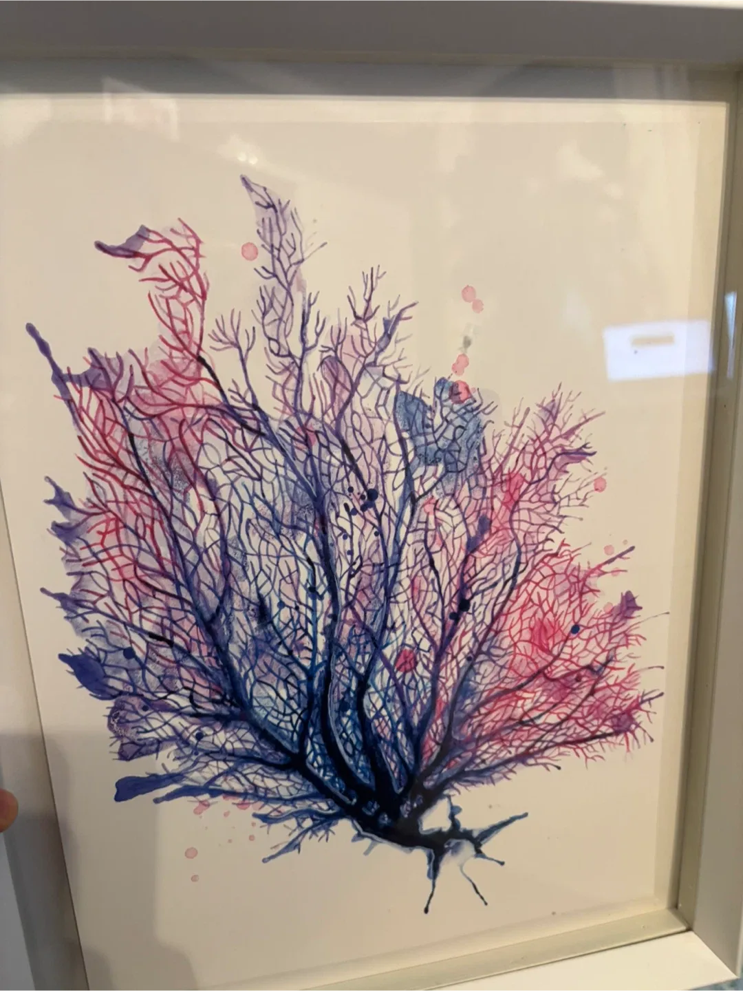 Set of 2 Framed Coral Prints image indicator(2)