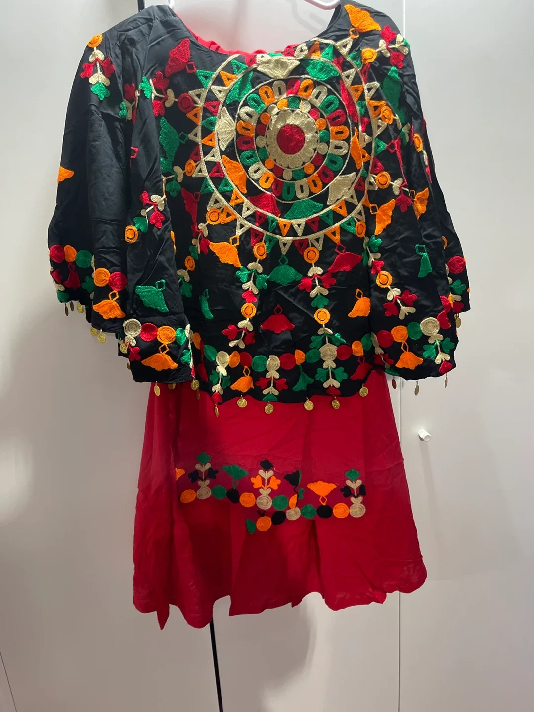 Embroidered Black & Red Dress image indicator(3)