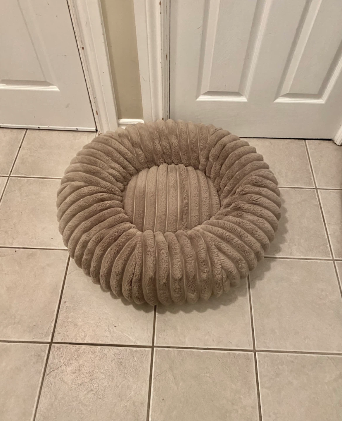 Pet Bed