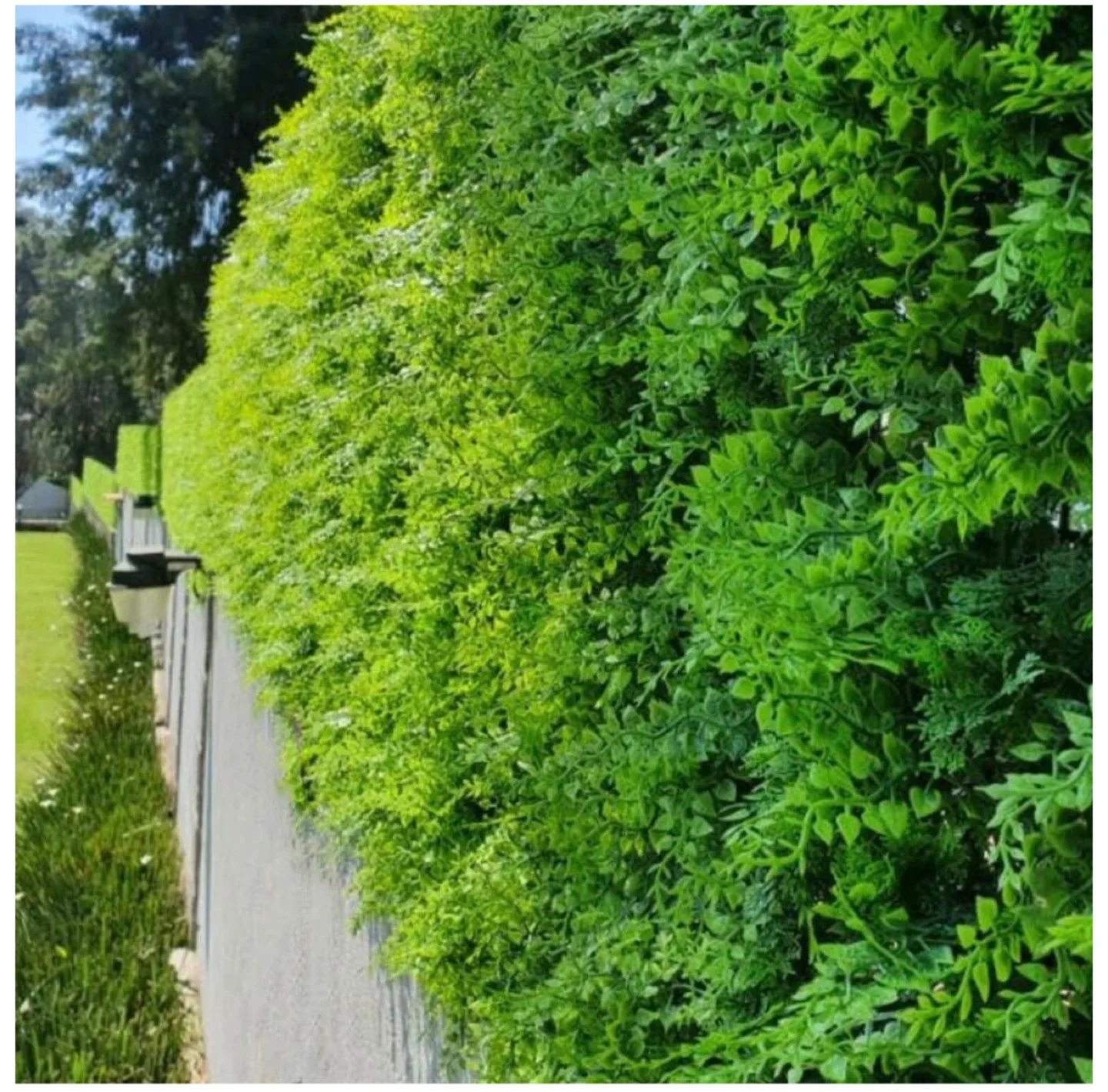 4pc,Artificial Decorative Maya Leaves Wall Panels,20x20 Inches image indicator(5)