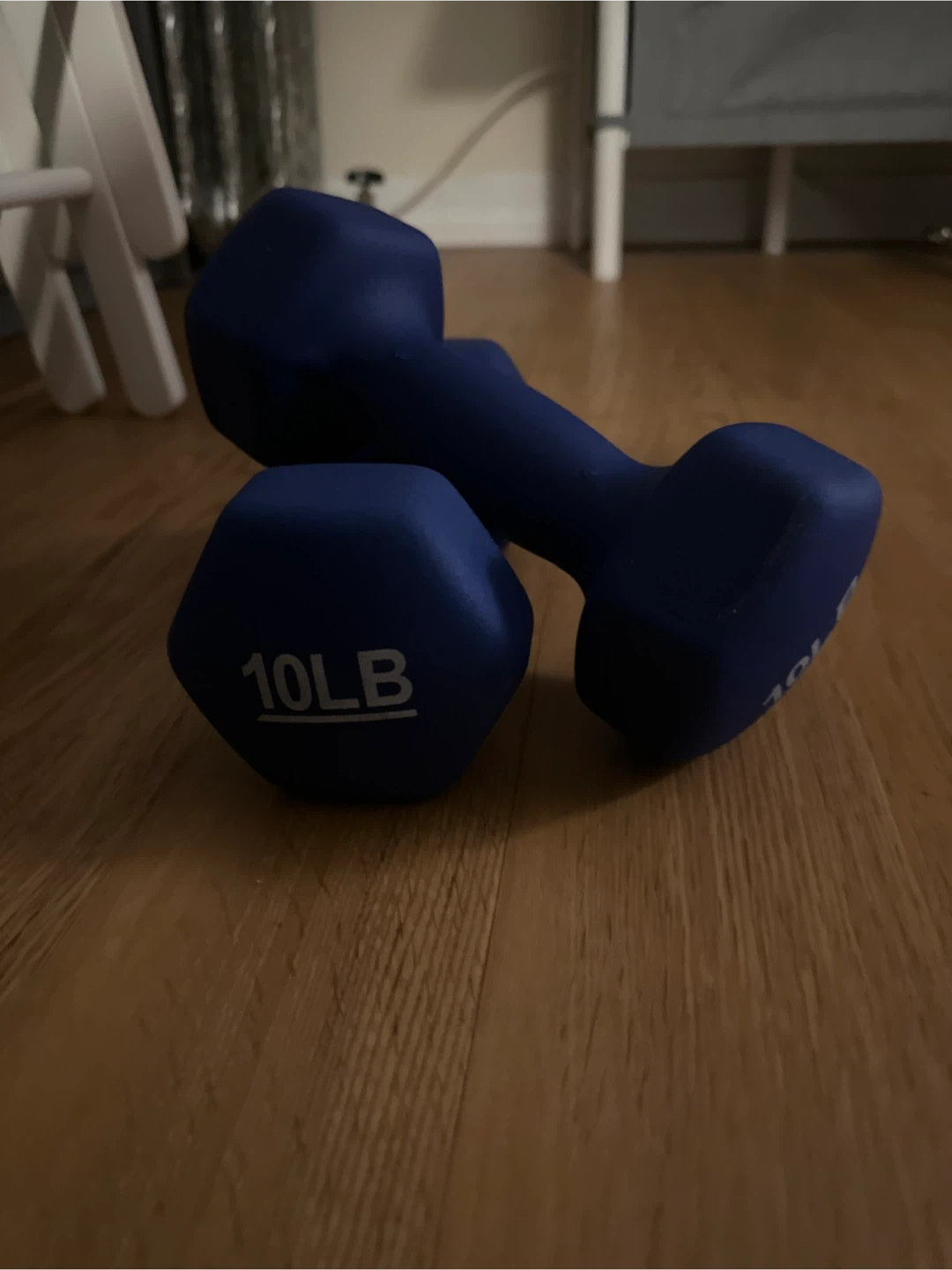 Pair of 10LB Dumbbells