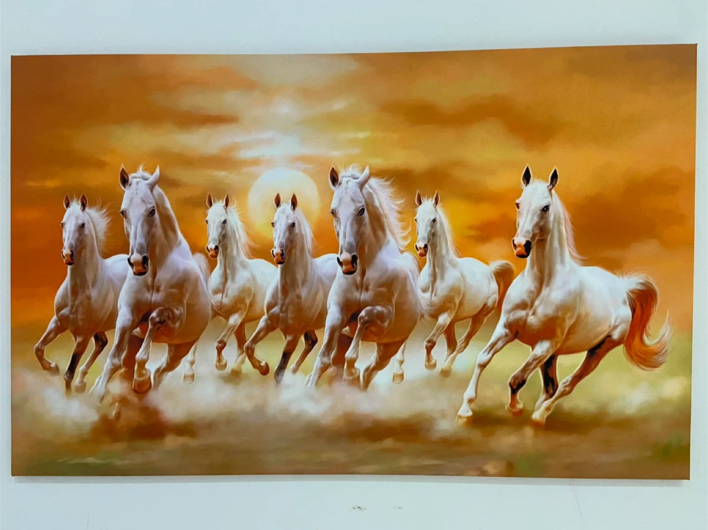 Home decoration/ Wall decoration/ Canvas painting image indicator(2)