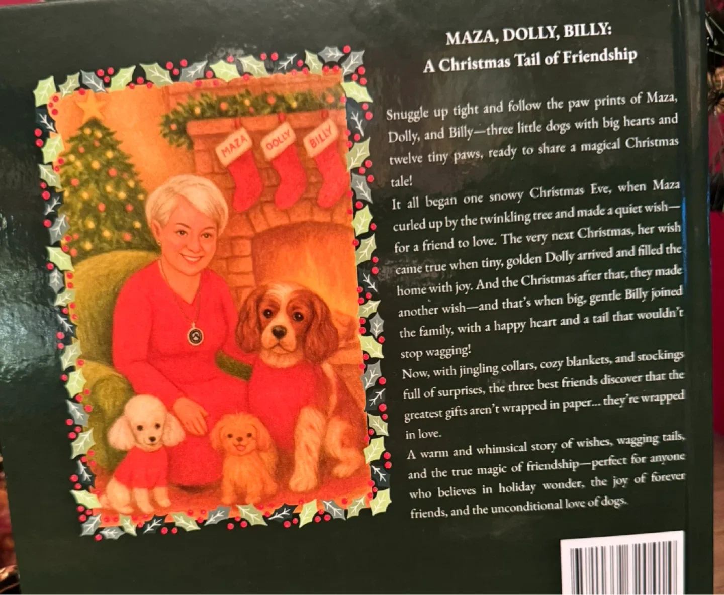 Maza Dolly Billy: A Christmas Tale of Friendship Book image indicator(2)