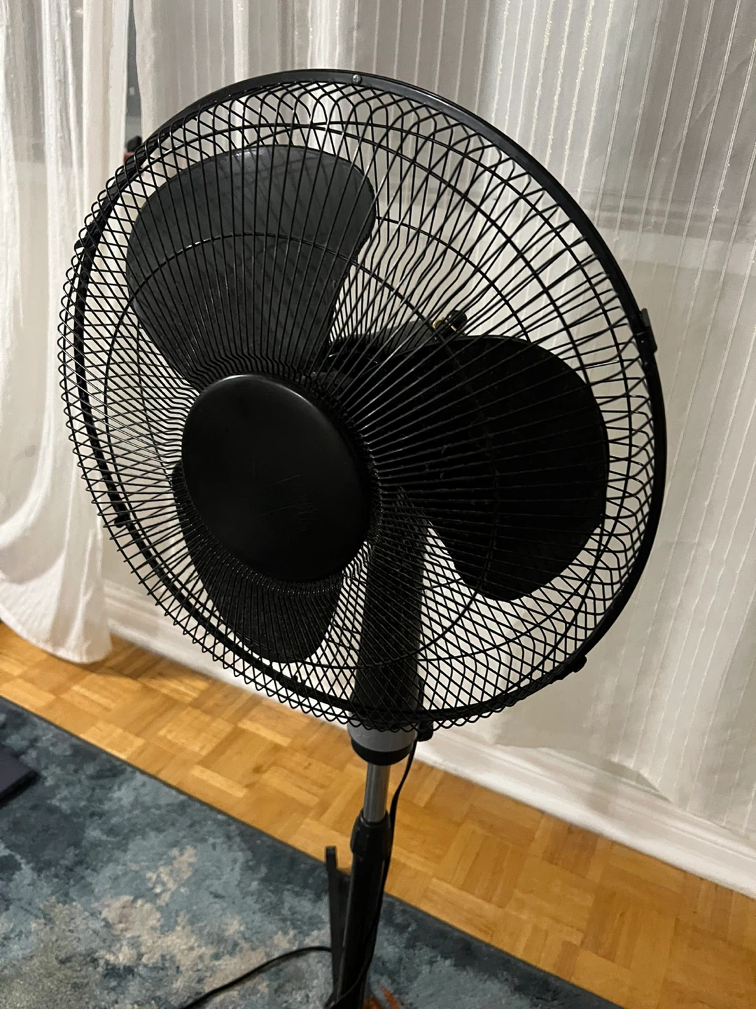 Black Standing Fan - Gently Used