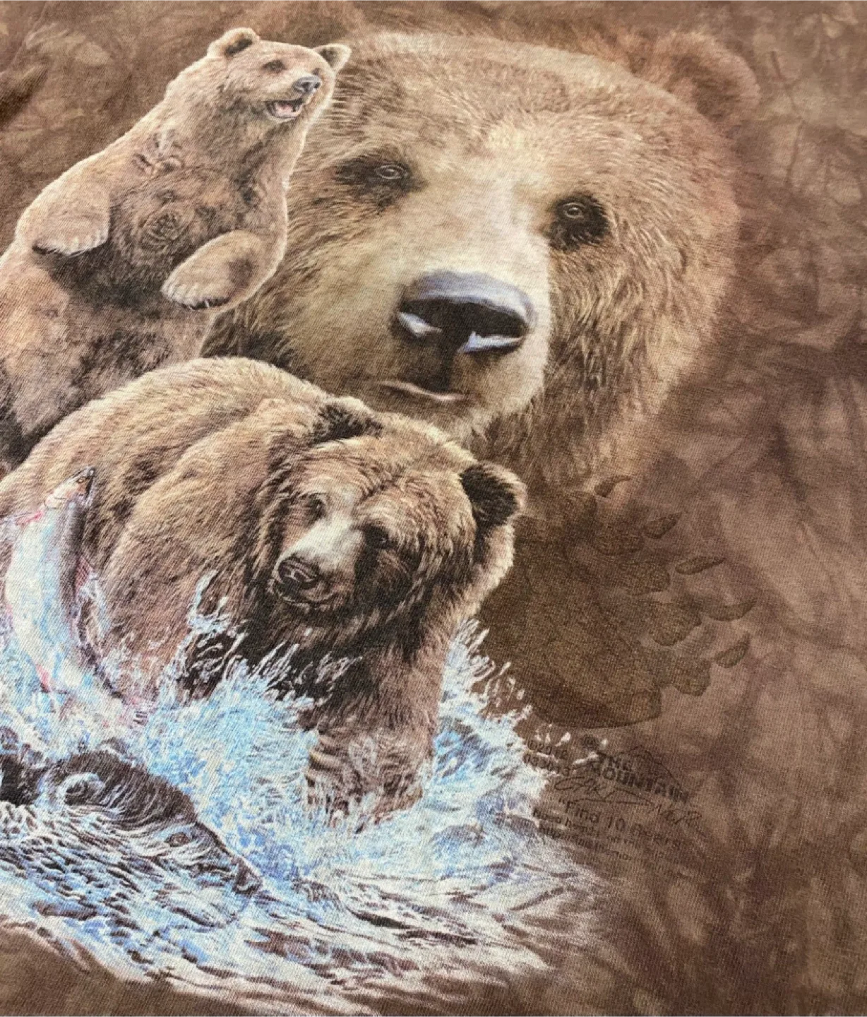 Grizzly Bear T-Shirt (medium) image indicator(4)