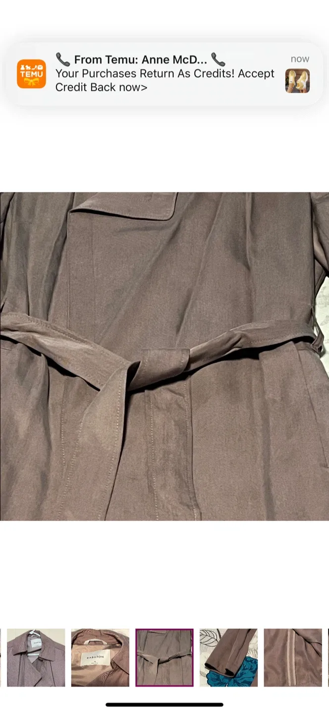 Aritzia Babaton Trench Coat image indicator(8)
