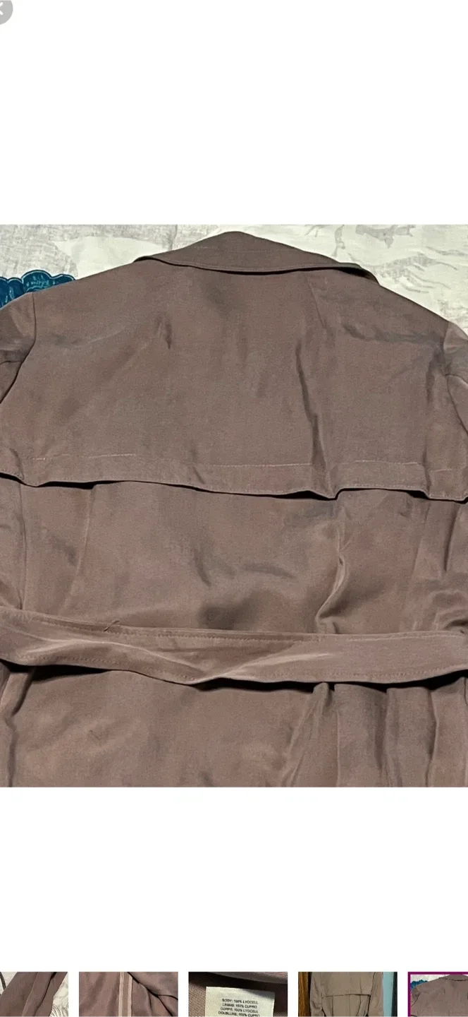 Aritzia Babaton Trench Coat image indicator(10)