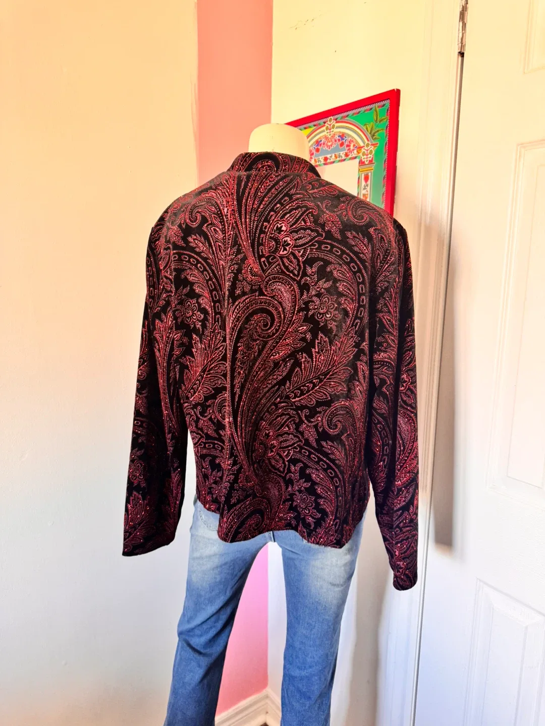 Sparkly Paisley Black and Red Jacket image indicator(3)