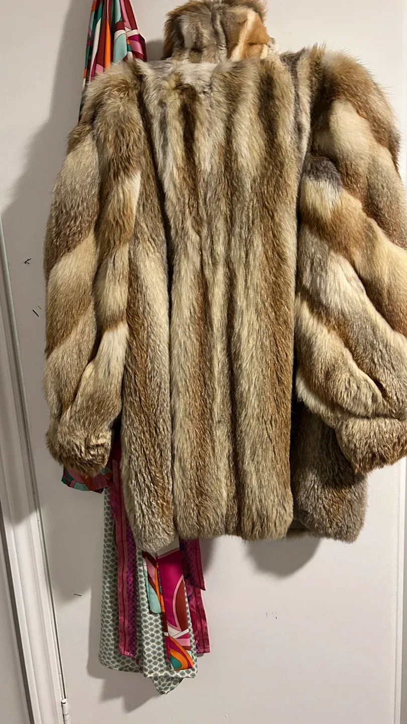 Fox fur image indicator(4)