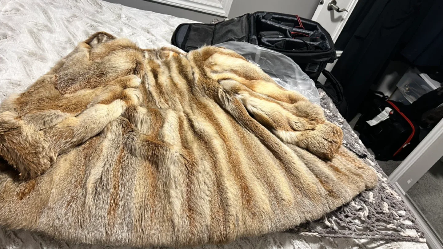 Fox fur image indicator(2)