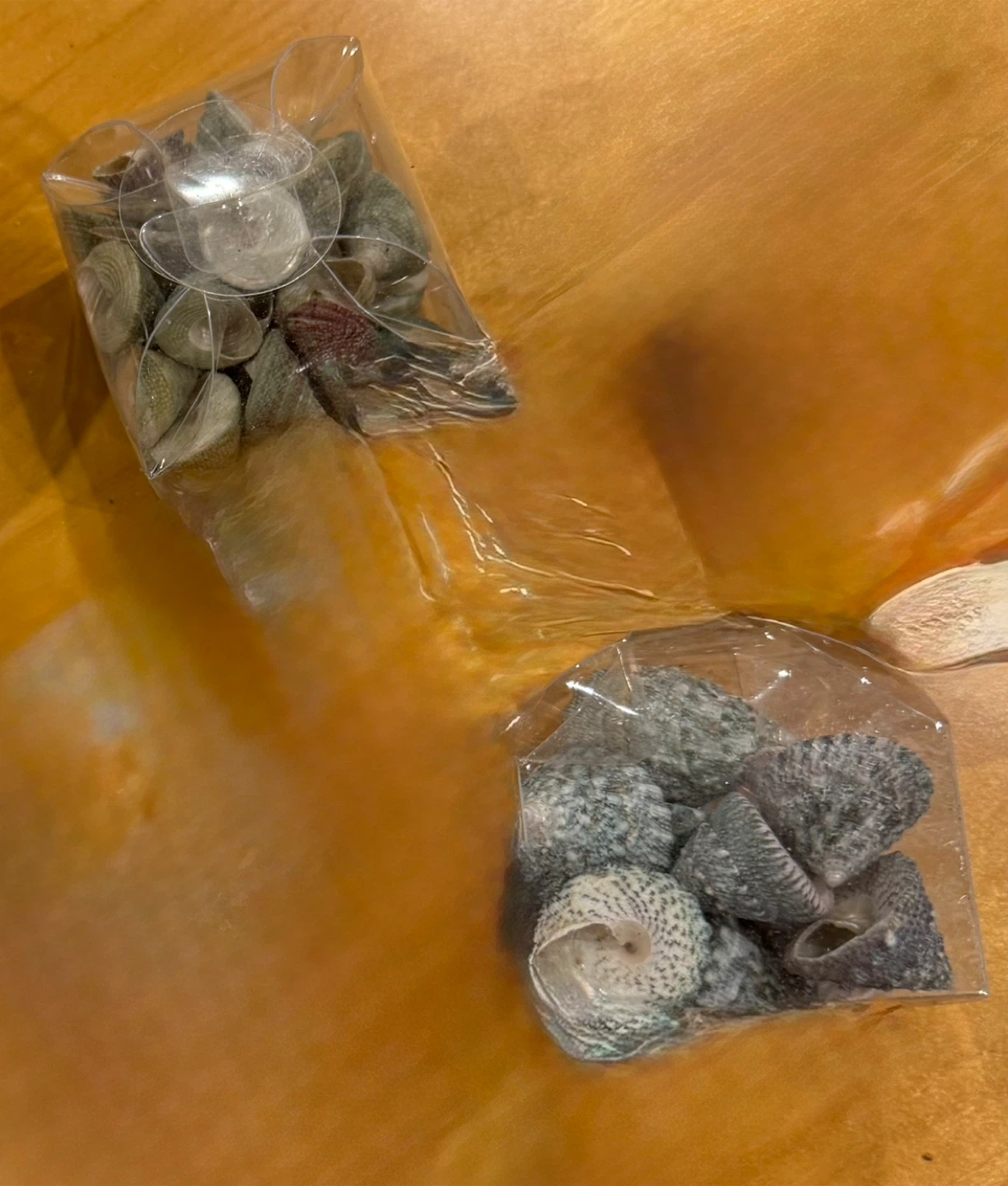 ASSORTED SEA SHELLS, CRAFT SUPPLIES FOR HOME DECOR - photo 4