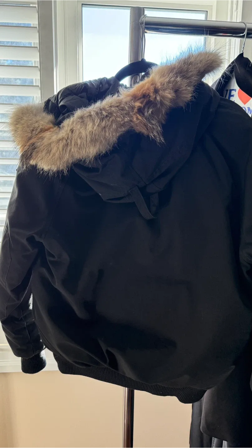 Canada Goose Bomber Jacket - Size L/G image indicator(2)