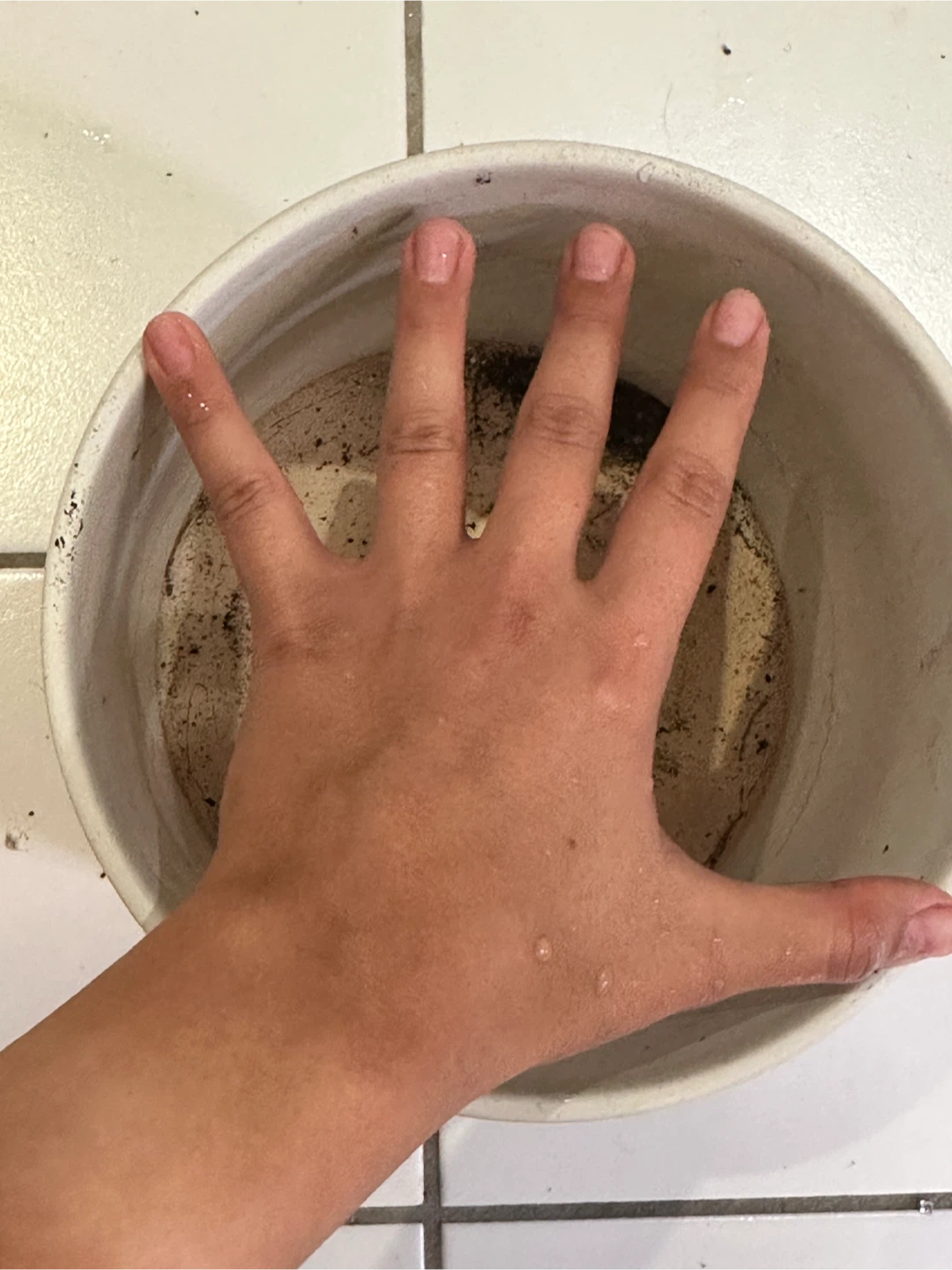 8" Ceramic Planter with Drainage - photo 3