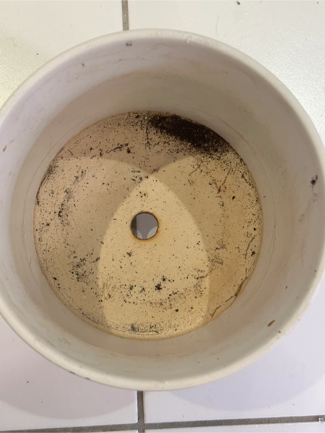 8" Ceramic Planter with Drainage - photo 2