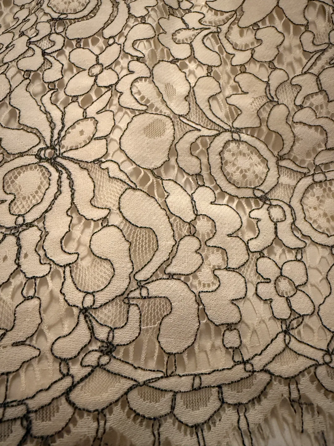 LOFT Lace Skirt - Size 2 image indicator(3)