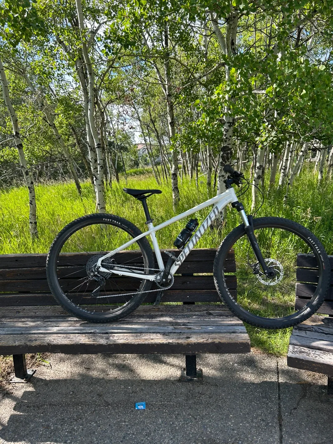 Specialized Rockhopper Mountain Bike