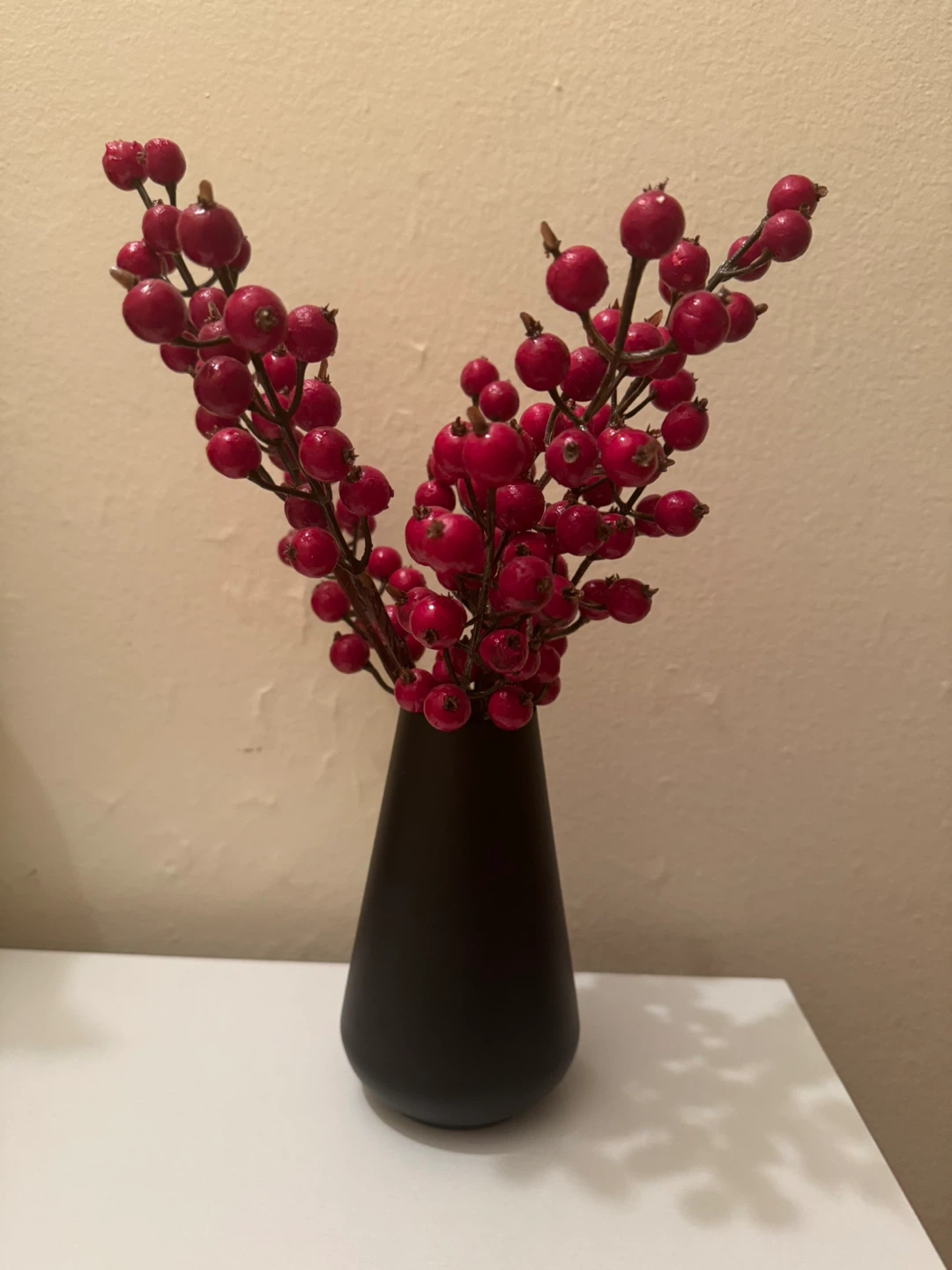 Red Berry Branch in Black Vase