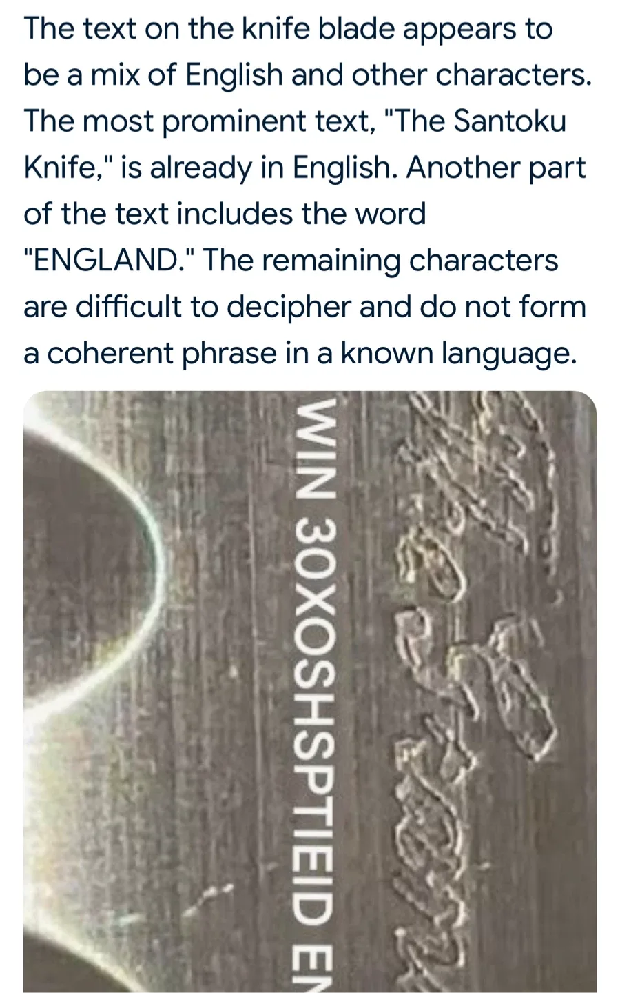 Vintage Wm. Grant & Sons Granton Edge Knife image indicator(7)