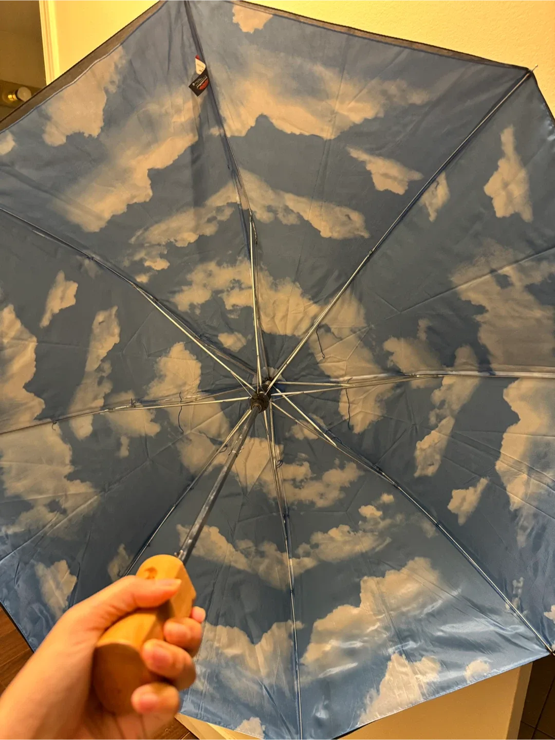 ☔️Umbrella - Black with Cloud Print image indicator(4)