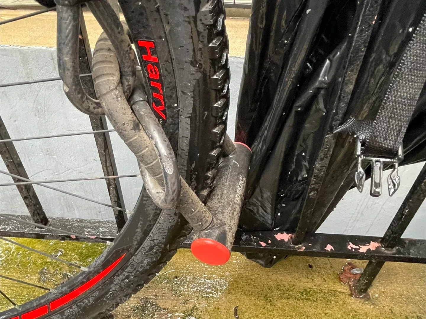 Outroad Mountain Bike - Black and Red image indicator(3)