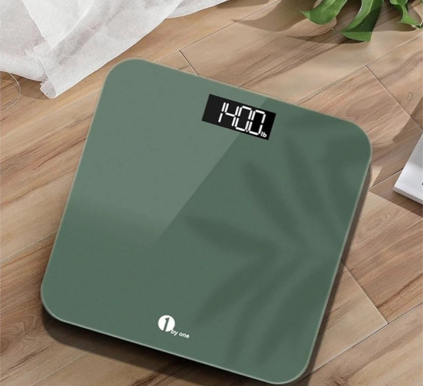 Digital Body Weight Scale