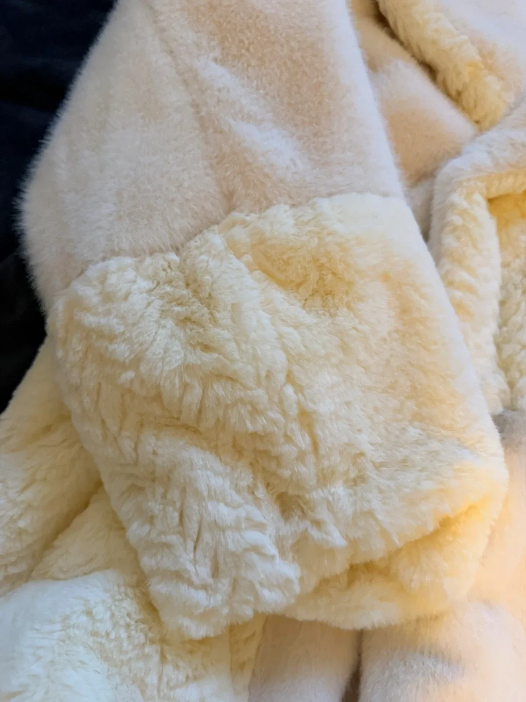 Forever 21 Fur Cream Coat image indicator(3)